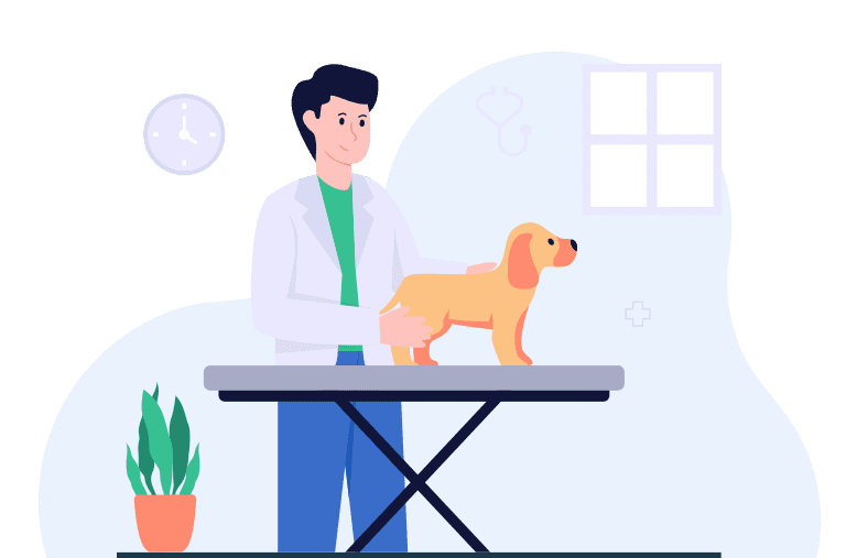dĂ©couvrez comment choisir la mutuelle idĂ©ale pour votre chien afin de garantir sa santĂ© et son bien-ĂȘtre. comparez les offres, les garanties et les prix pour prendre la meilleure dĂ©cision.