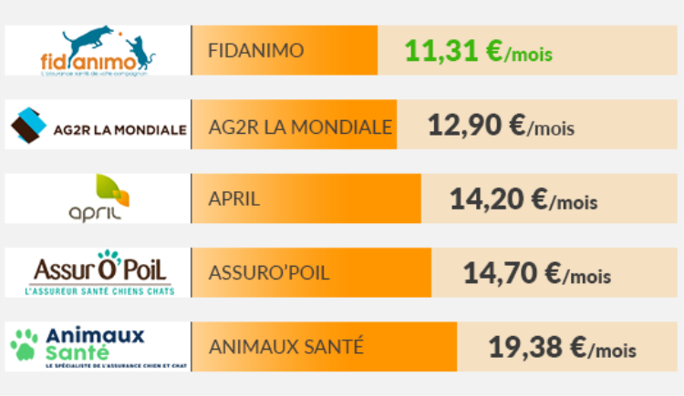 dĂ©couvrez comment choisir la meilleure mutuelle pour votre chien afin de garantir sa santĂ© et son bien-ĂȘtre. comparez les offres, les garanties et les tarifs pour trouver la couverture idĂ©ale qui rĂ©pond Ă vos besoins et Ă ceux de votre compagnon Ă quatre pattes.